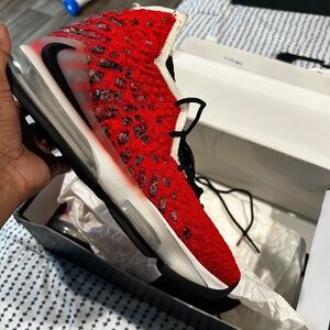 Nike LeBron XVII (17) Basketball Shoes